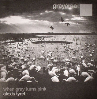 Alexis Tyrel – When Gray Turns Pink - New 12" Single Record 2007 Grayarea Netherlands Vinyl - Techno / Minimal