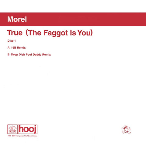 Morel ‎– True (The Faggot Is You) - VG+ 12" Single Record 2000 Hooj Choons UK Import Vinyl - Progressive House / Deep Dish