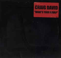 Craig David ‎– What's Your Flava? - VG+ 12" Single White Label Promo Record 2002 Atlantic Vinyl - RnB