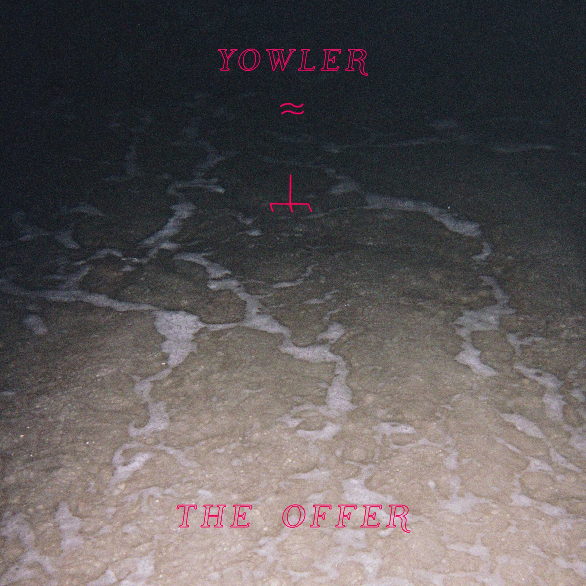 Yowler ‎– The Offer - New Lp Record 2017 Double Double Whammy USA Grey Vinyl - Indie Folk - Shuga Records