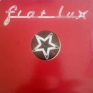 Exotica ‎– When I Was A Kid - Mint- - 12" Single Record - 2001 France Fiat Lux Vinyl - House