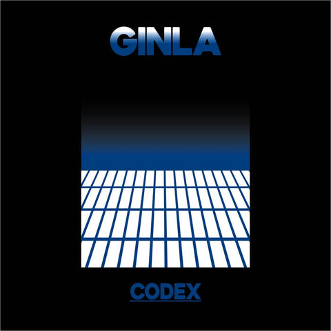 Ginla - Codex - New Vinyl Lp 2018 Terrible Records Pressing  - Chillwave / Synth / Dream Pop