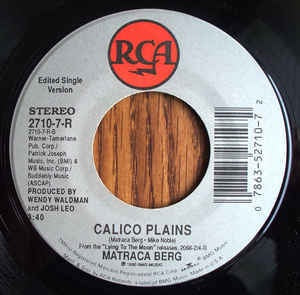 Matraca Berg - I Got It Bad / Calico Plains - VG 7" Single 45RPM 1990 RCA USA - Rock - Shuga Records