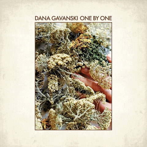 Dana Gavanski ‎– One By One - New 7" Single 2019 Full Time Hobby Vinyl - Folk