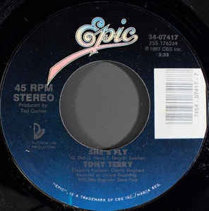 Tony Terry ‎– She's Fly - VG+ 7" Single 1987 Vinyl 45 rpm Record - Electro / New Jack Swing