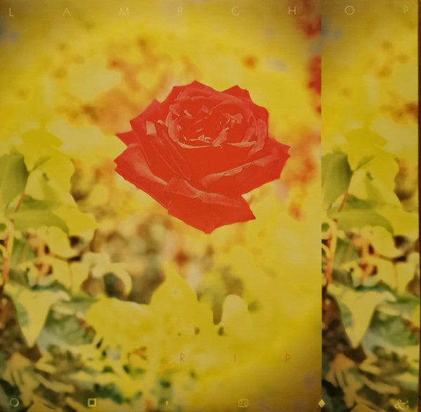 Lambchop ‎– Trip - New LP Record 2020 Merge USA Coke-Bottle Clear & Yellow Swirl Vinyl, Blotter Paper, Poster & Download - Indie Rock / Folk Rock - Shuga Records