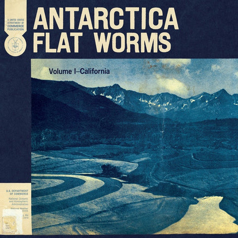 Flat Worms ‎– Antarctica - New LP Record 2020 God? USA Vinyl - Alternative Rock / Garage Rock / Post-Punk