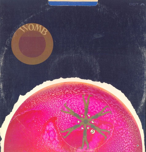 Womb – Womb - VG+ Lp Record 1969 Dot USA Vinyl & Inner Matching Sleeve - Psychedelic Rock - Shuga Records