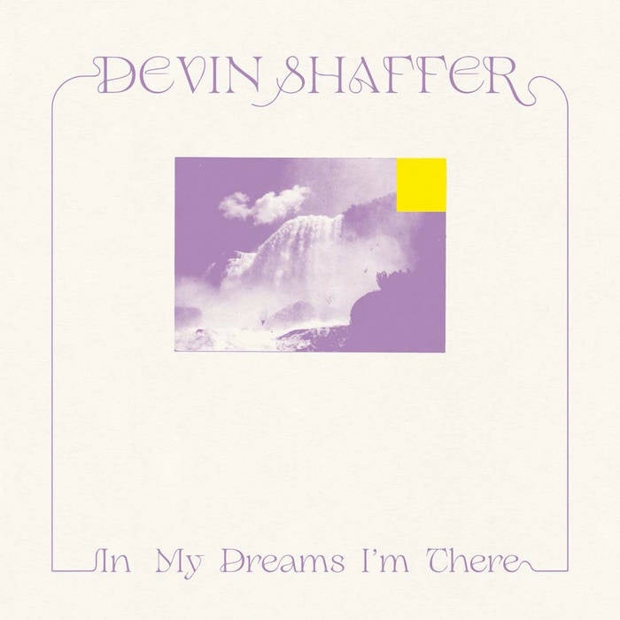 Devin Shaffer - In My Dreams I'm There - New LP Record 2021 American Dreams Black Vinyl - Local Ambient / Folk / Experimental