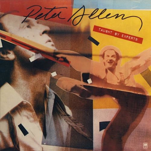 Peter Allen ‎– Taught By Experts - VG+ Lp Record 1976 A&M USA Vinyl - Disco