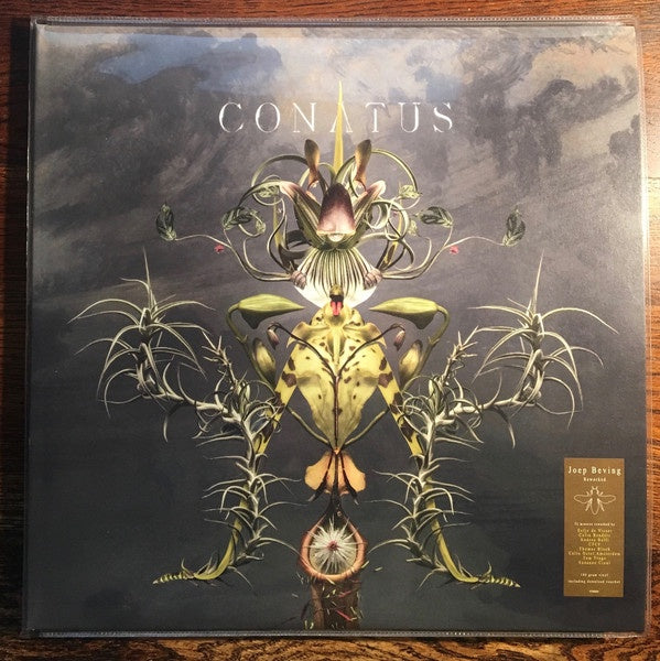 Joep Beving ‎– Conatus - New 2 Lp Record 2018 Deutsche Grammophon 180 gram Vinyl & Download - Contemprary Classical