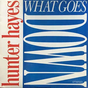 Hunter Hayes ‎– What Goes Down - VG+ - 12" Single Record - 1990 USA Columbia Vinyl - House