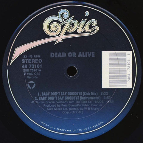 Dead Or Alive - Baby Don't Say Goodbye - M- 12" Single 1989 Epic USA - Synth-Pop