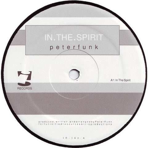 Peterfunk – In The Spirit - Mint- 12" Single Record 2000 i! USA Vinyl - House / Dialogue