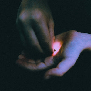 Bambara ‎– Stray - New Lp Record 2020 Wharf Cat USA Black Vinyl & Download - Post-Punk / Rockabilly - Shuga Records