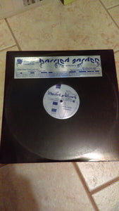 Brian Gardner &  Phil Barrie ‎– Barried Garden EP - Mint- 2x 12" Single Record 2003 USA Blue Vinyl - Chicago House