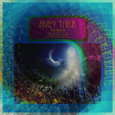 Avey Tare - Eucalyptus - New 2 Lp Record 2017 USA Domino Vinyl & Download - Rock / Psych