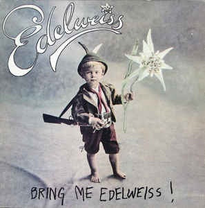 Edelweiss- Bring Me Edelweiss- M- 12" Single- 1989 Atlantic USA- Electronic/Euro House