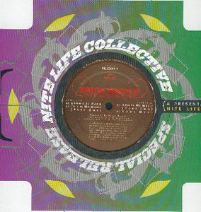 Brian Harden ‎– Instinctive Funk - New 12" Single Record 1999 NLC Vinyl - Chicago Deep House