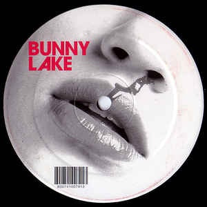 Bunny Lake ‎– Disco Demons (Remixes) - Mint- 12" Single Record - 2006 Austria Klein Vinyl - House / Electro