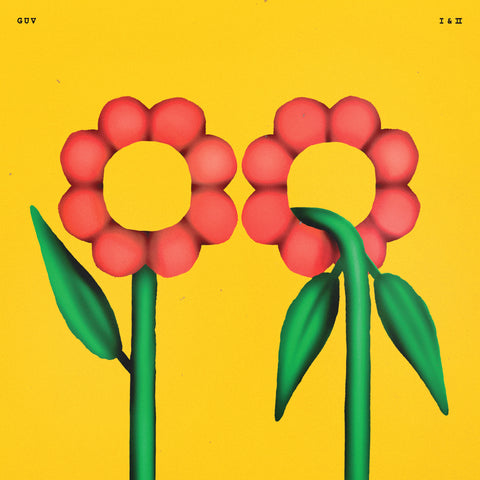 Young Guv ‎– Guv I & II - New LP Record 2019 Run For Cover Yellow Galaxy Swirl Vinyl - Power Pop / Rock