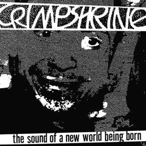 Crimpshrine ‎– The Sound Of A New World Being Born (1998) - New Lp Record 2017 Numero Group USA Vinyl - Punk