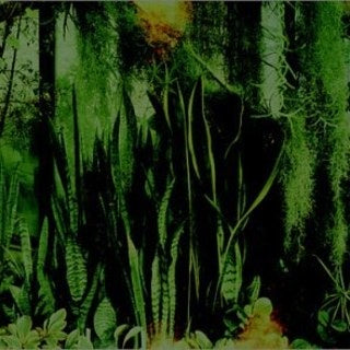 The Promise Ring ‎– Wood/Water - New Vinyl 2 Lp 2018 Anti- Reissue on Clear Vinyl with Gatefold Jacket - Indie Rock / Emo - Shuga Records