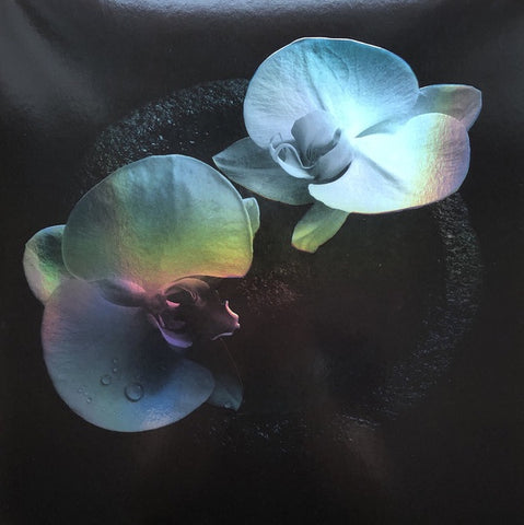 Mike Patton & Jean-Claude Vannier ‎– Corpse Flower - New LP Record 2019 Ipecac Smoky Swirl Vinyl - Rock / Chanson / Experimental