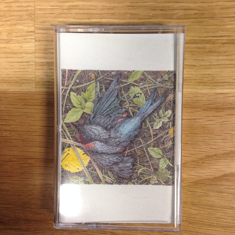 Caddywhompus - Feathering A Nest - New Cassette - 2014 Community Records - Black and White Tape - Pop / Rock
