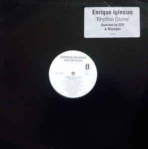 Enrique Iglesias ‎– Rhythm Divine - VG+ 12" Promo 1999 Interscope USA - House