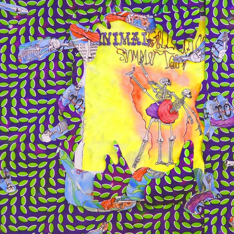 Animal Collective ‎– Ballet Slippers - New 2 LP Record 2019 Domino UK Import Vinyl - Psychedelic Rock / Indie Rock