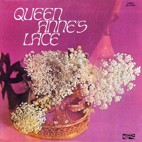 Queen Anne's Lace ‎– Queen Anne's Lace - VG+ Lp Record 1969 Decca USA Vinyl - Pop