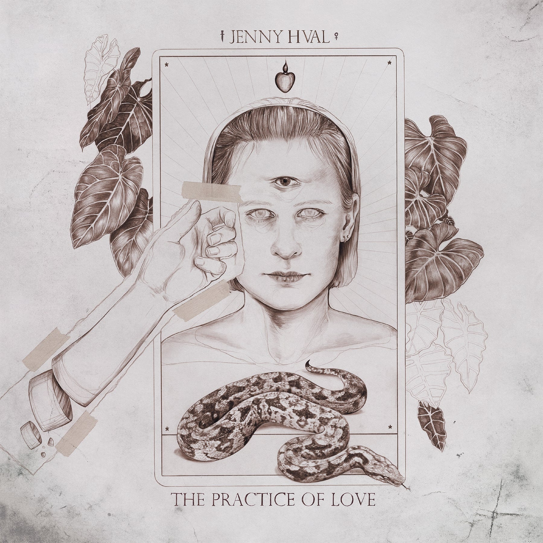 Jenny Hval - The Practice of Love - New LP Record 2019 Sacred Bones Sand Colored Vinyl - Electronic / Art Pop
