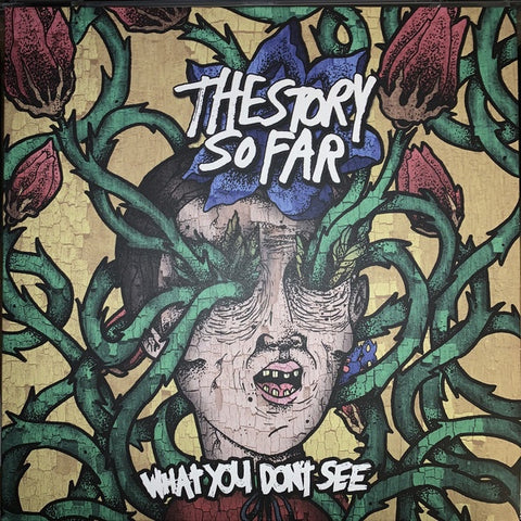 The Story So Far – What You Don't See (2013) - New LP Record 2020 Pure Noise USA Doublemint in Half Coke Bottle Clear/Half Swamp Green w/ Black & Red SplatterVinyl & Download - Pop Punk