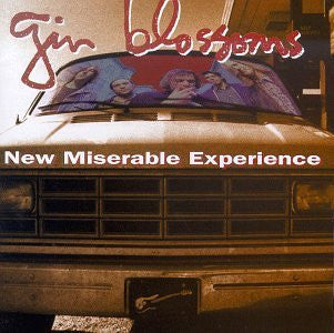 Gin Blossoms - New Miserable Experience - New 2 LP Record 2017 USA Audiophile 45rpm CLEAR Vinyl & Poster - Alternative Rock