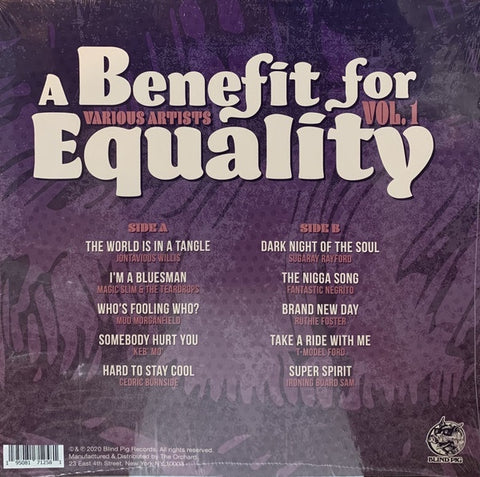 Various ‎– A Benefit For Equality Vol. 1 - New LP Record 2021 Blind Pig USA Vinyl - Blues