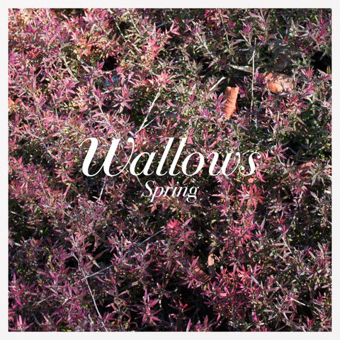 Wallows - Spring - New EP Record 2018 Atlantic USA Green & Pink Vinyl - Alternative Rock