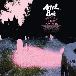 Ariel Pink - Dedicated to Bobby Jameson - Mint- LP Record 2017 Mexican Summer USA Vinyl - Psychedelic Rock / Indie Rock / Lo-Fi
