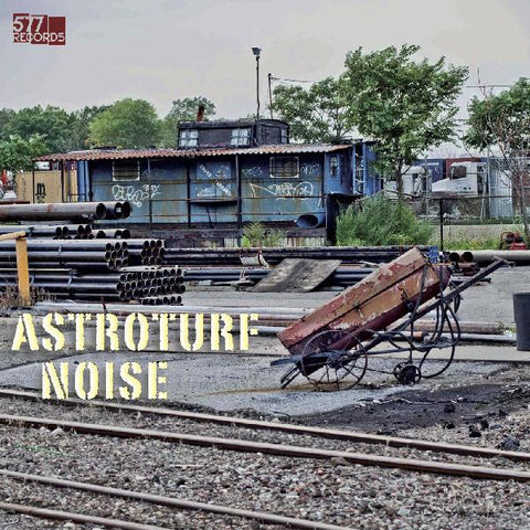Astroturf Noise ‎– Astroturf Noise - New LP Record 2020 USA 577 Records Vinyl & Download - Bluegrass / Jazz