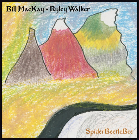 Bill MacKay & Ryley Walker ‎– SpiderBeetleBee - New Vinyl 2017 Drag City Pressing - Chicago, IL Folk / Indie