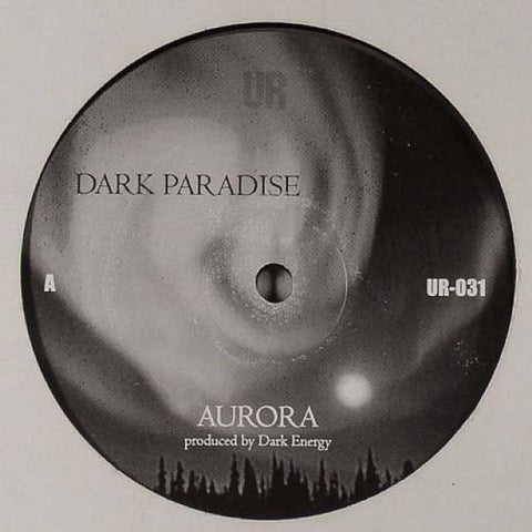 Dark Energy ‎– Dark Paradise - VG+ 12" Single 2002 USA - Techno