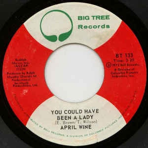 April Wine - You Could Have Been A Lady / Teacher - VG+ 7" Single 45RPM 1972 Big Tree USA - Rock