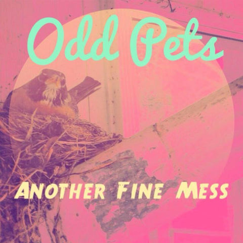 Odd Pets - Another Fine Mess - New 7" Vinyl 2017 Broker's Tip Records Pressing (Bob Nastanovich of Pavement's Label) - Garage / Surf Rock