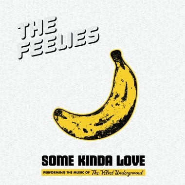 The Feelies - Some Kinda Love: Performing The Music Of The Velvet Underground - New 2 LP Record 2023 Bar/None Indie Exclusive Grey Vinyl - Indie Rock / Art Rock