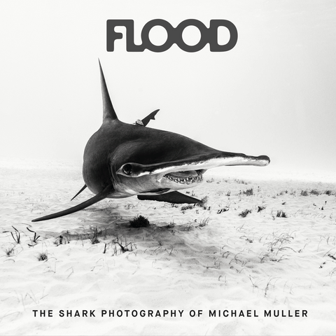 Flood Magazine - #3 - Iggy Pop - Shark Photography- Magazine - Art - Music - Film - Culture
