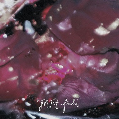Mint Field – Aprender a Ser - New LP Record 2023 Felte Fruit Punch Vinyl - Indie Rock / Dream Pop