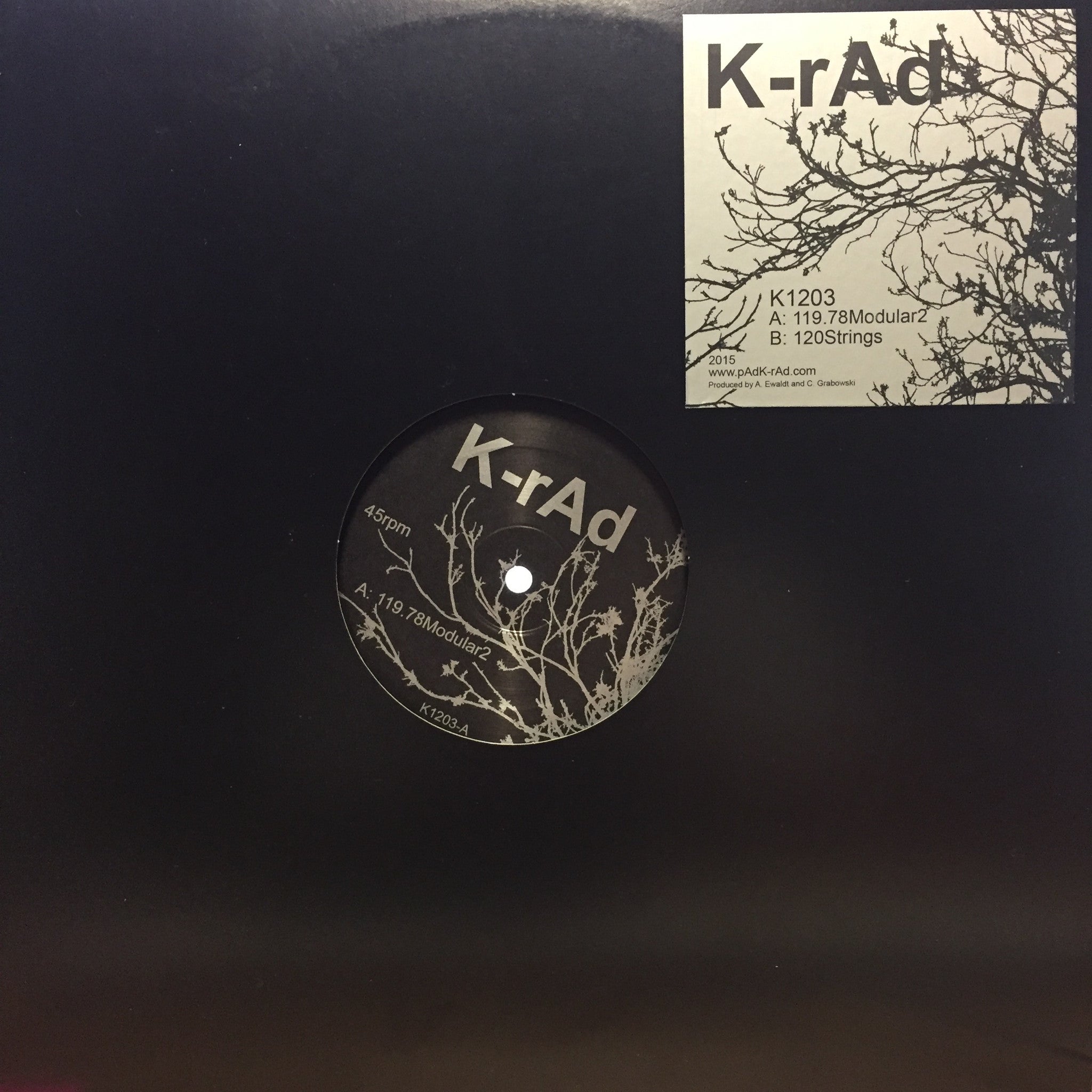 K-rAd - 119.78Modular2 / 120Strings - New 2015 Vinyl 12" Single USA - Chicago House/Techno - Shuga Records