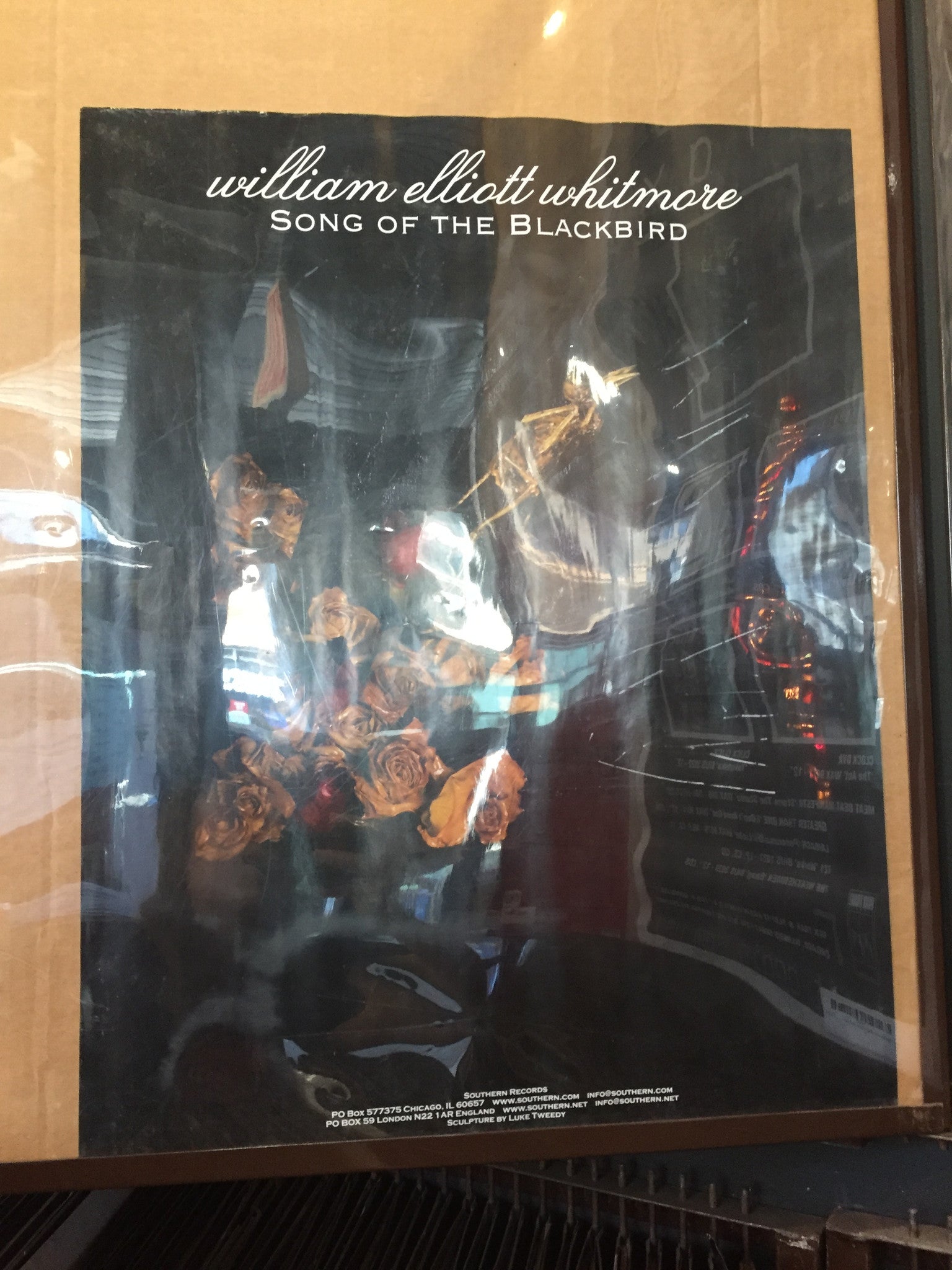 William Elliott Whitmore – Song Of The Blackbird - 17x22 Promo Poster - p0160