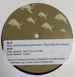 Andy Caldwell ‎– Brand New Day (Electro) / Don't You Love Me / Pushin' - Mint 12" Single Record 2005 AREA DJ Smartbar May - Chicago House / Electro - Shuga Records