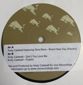 Andy Caldwell ‎– Brand New Day (Electro) / Don't You Love Me / Pushin' - Mint 12" Single Record 2005 AREA DJ Smartbar May - Chicago House / Electro